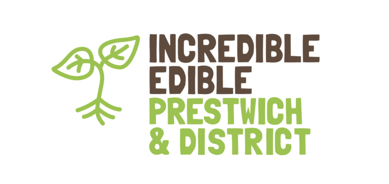 IE IPEAD1 Full 768x364