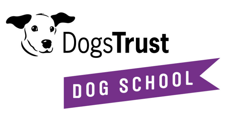 usable version of the logo 768x422